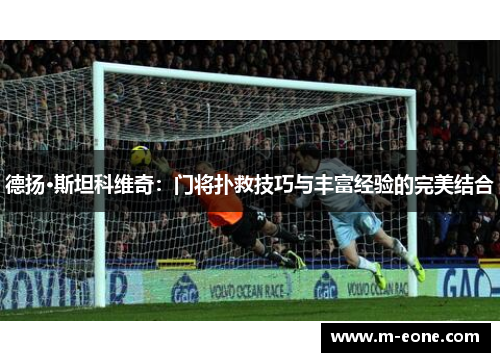 德扬·斯坦科维奇：门将扑救技巧与丰富经验的完美结合