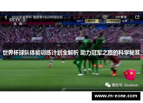 世界杯球队体能训练计划全解析 助力冠军之路的科学秘笈