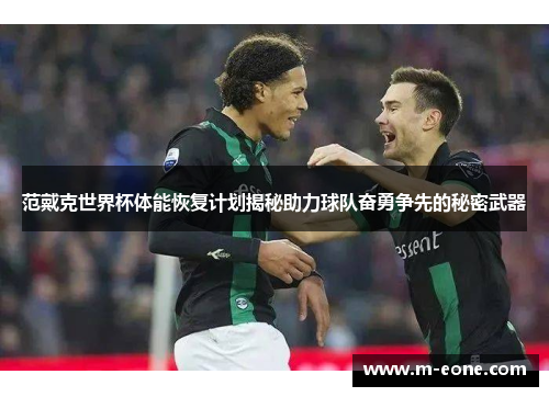 范戴克世界杯体能恢复计划揭秘助力球队奋勇争先的秘密武器