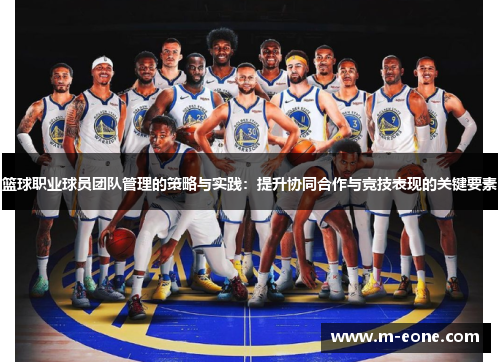 篮球职业球员团队管理的策略与实践：提升协同合作与竞技表现的关键要素