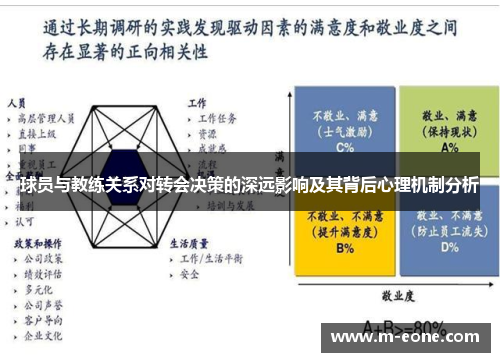 球员与教练关系对转会决策的深远影响及其背后心理机制分析