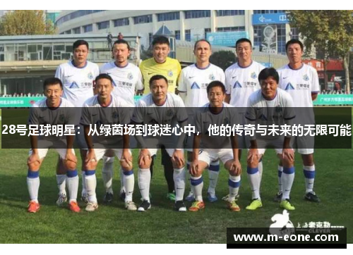 28号足球明星：从绿茵场到球迷心中，他的传奇与未来的无限可能
