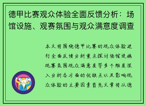 德甲比赛观众体验全面反馈分析：场馆设施、观赛氛围与观众满意度调查