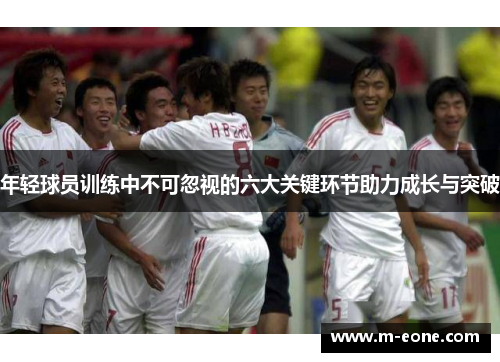 年轻球员训练中不可忽视的六大关键环节助力成长与突破
