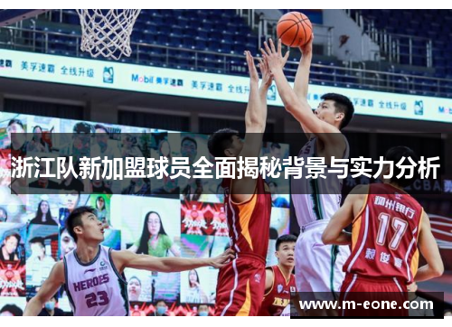 浙江队新加盟球员全面揭秘背景与实力分析