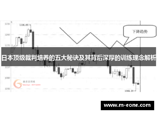 日本顶级裁判培养的五大秘诀及其背后深厚的训练理念解析