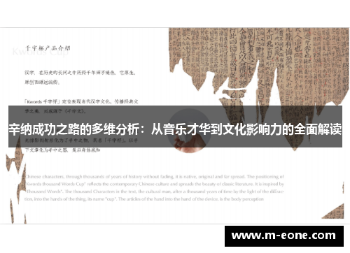 辛纳成功之路的多维分析：从音乐才华到文化影响力的全面解读